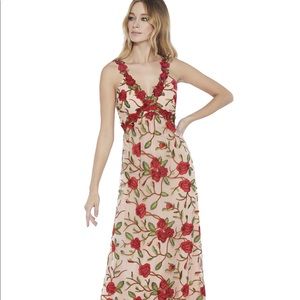 Alice & Olivia gown, Sz 8